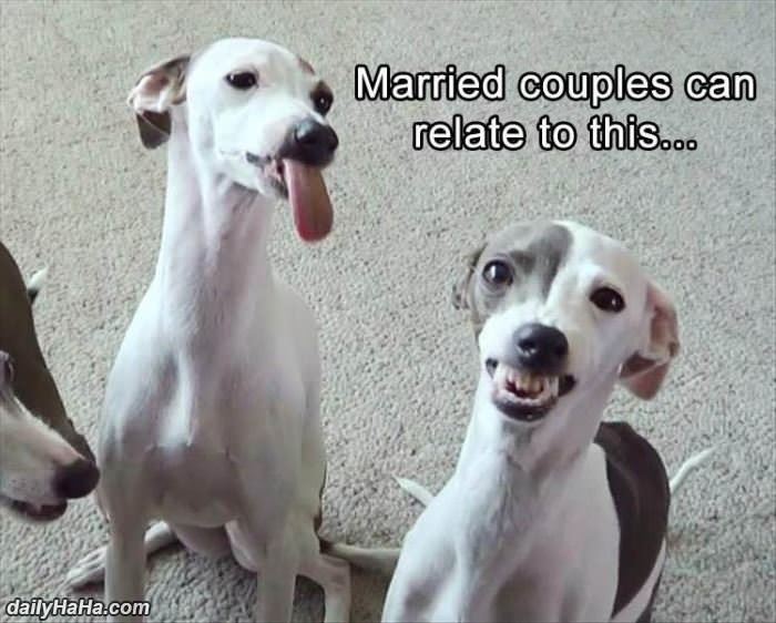 married couples can relate funny picture