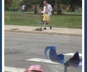 martini cat walk funny picture