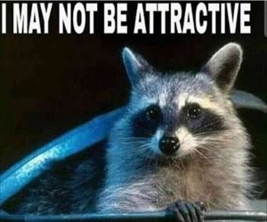 may not be attractive
