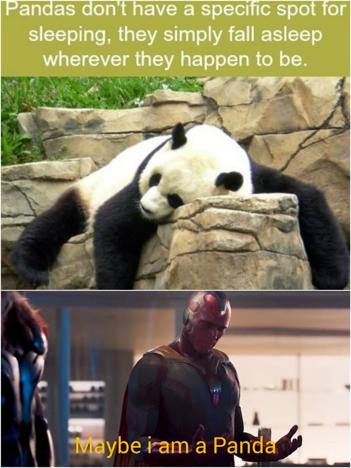 maybe i am panda