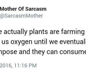 maybe plants are farming us funny picture