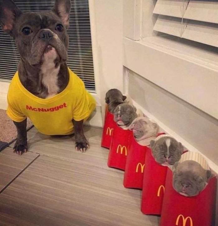 mcnugget