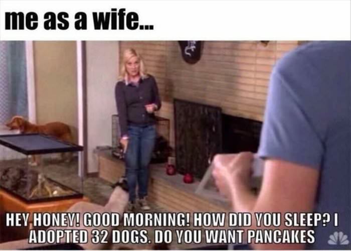 me as a wife