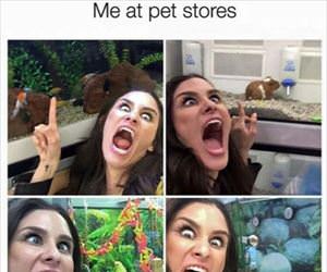me at pet stores