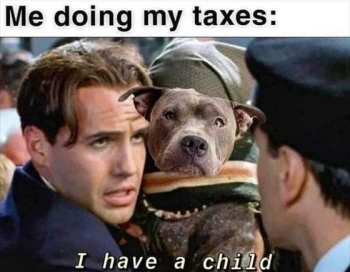 me doing my taxes