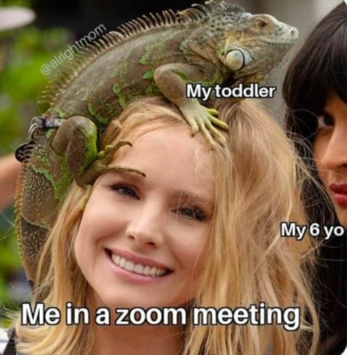 me in a zoom meeting