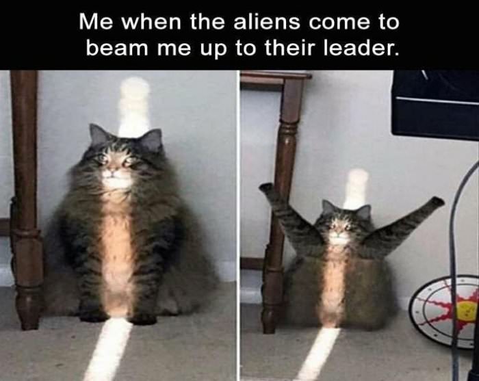 me when the aliens come