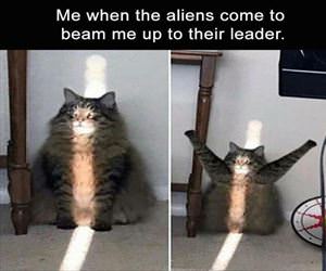 me when the aliens come