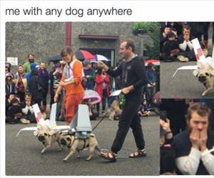 me with any dog anywhere