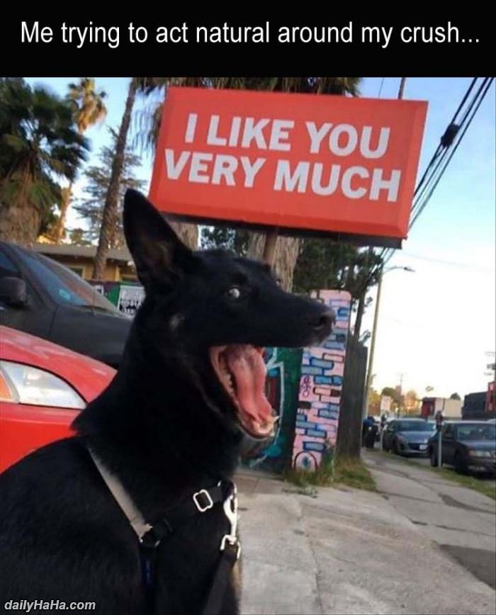 me acting naturally around my crush funny picture