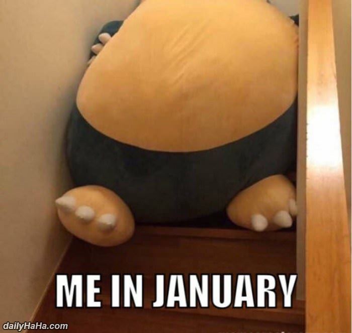 me in january funny picture