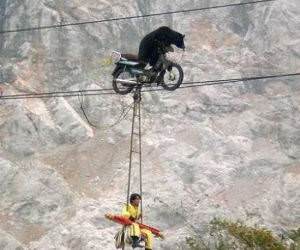 meanwhile funny picture