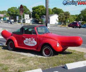 Mels Hot Dogs
