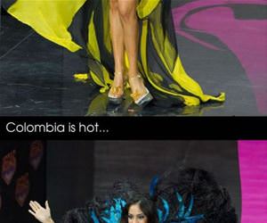 miss usa themes funny picture