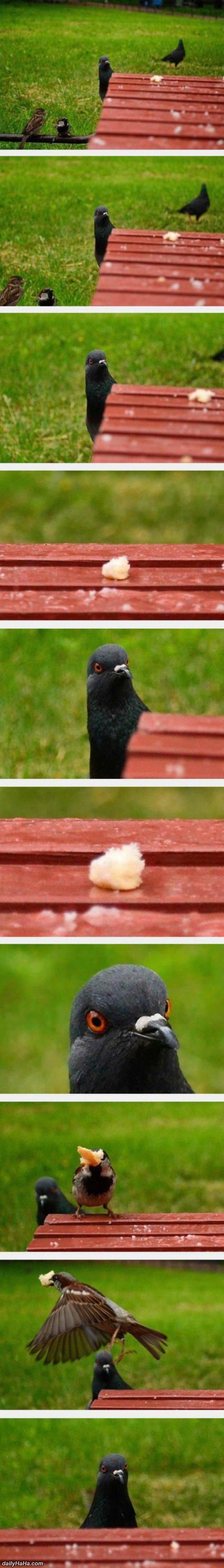 missed your moment funny picture