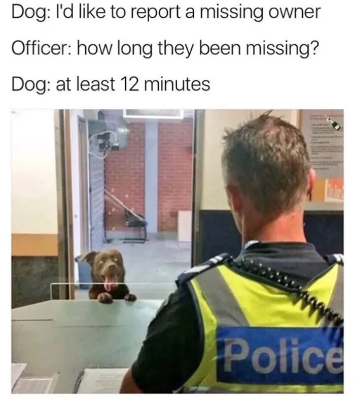 missing owner