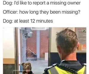 missing owner