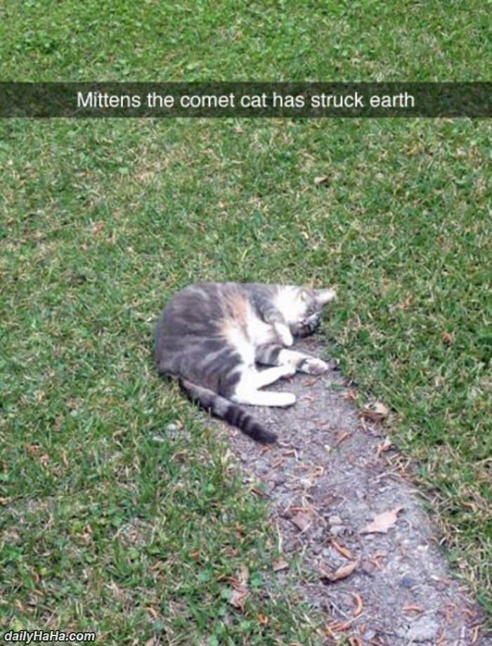 mittens the comet funny picture
