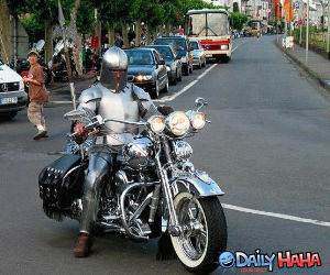 Modern Day Knight Picture