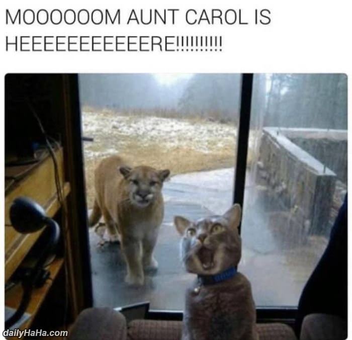 mom aunt carol is here funny picture