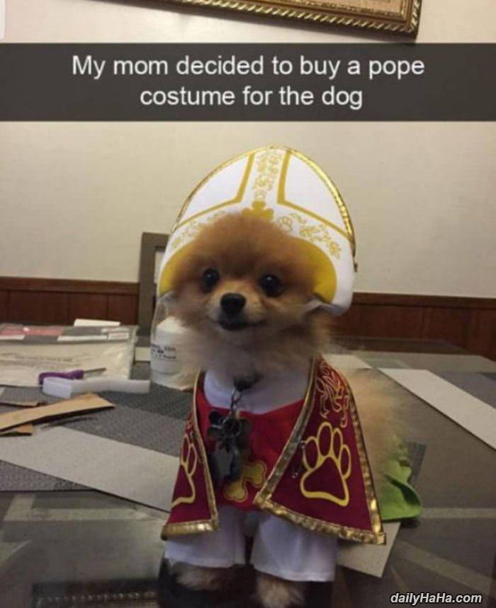 mom got a pope costume for the dog funny picture