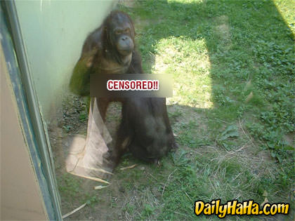 Nothing but mammels right?