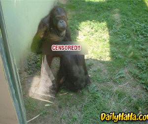 Nothing but mammels right?