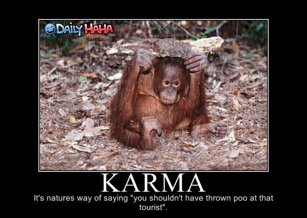 Monkeys Karma funny picture