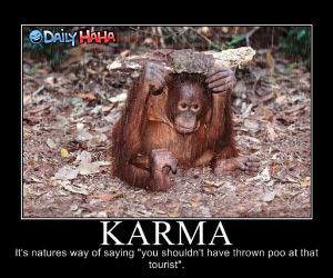 Monkeys Karma funny picture