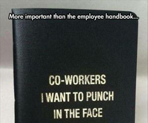 more important than the employee handbook