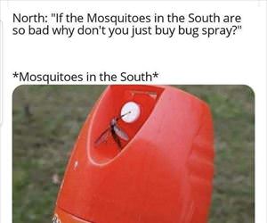 mosquitos in the south