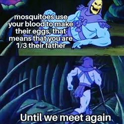 mosquitos use your blood
