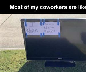 most of my co workers