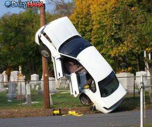 Funny Parking Picture