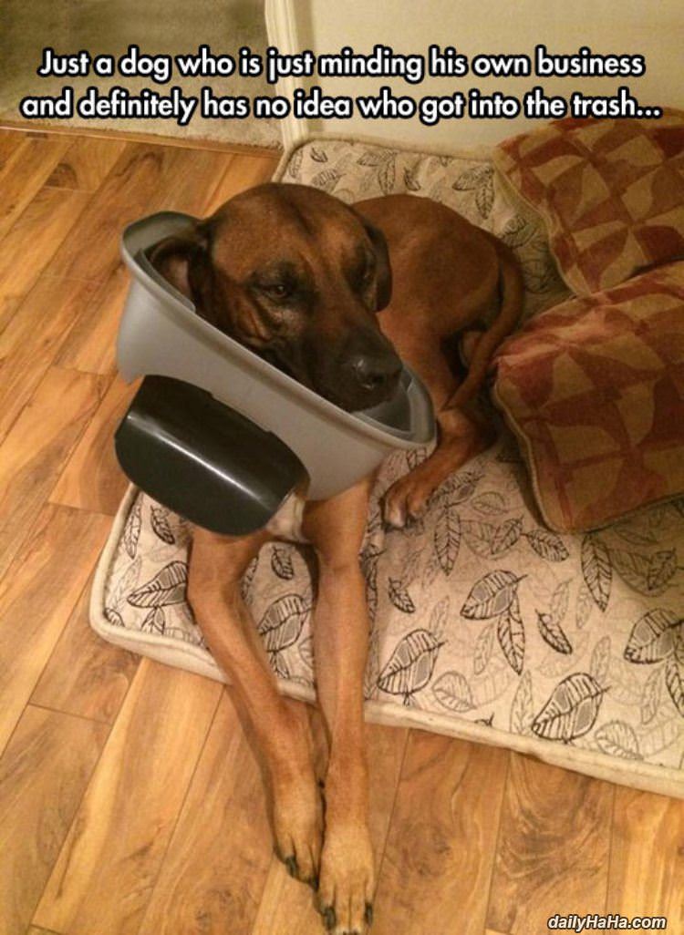 move along nothing to see funny picture