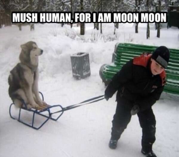 mush human funny picture