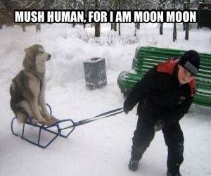 mush human funny picture