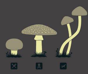 Mushroom Chart