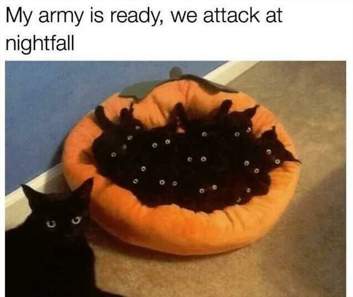 my army is ready for attack