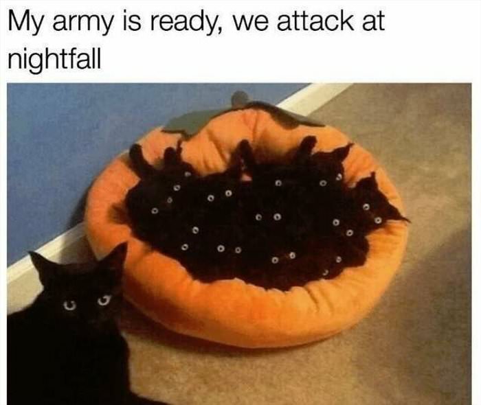 my army is ready