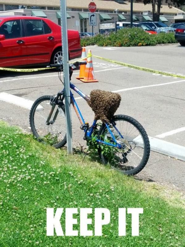 My Awesome Bike funny picture