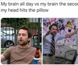 my brain all day