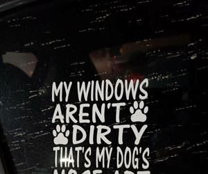 my dogs nose art