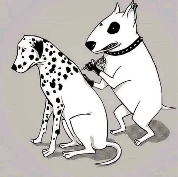 my dots