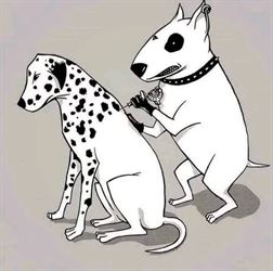 my dots