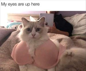 my eyes are up here ... 2