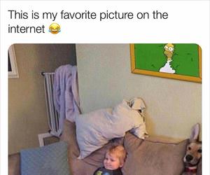 my favorite picture on the internet ... 2