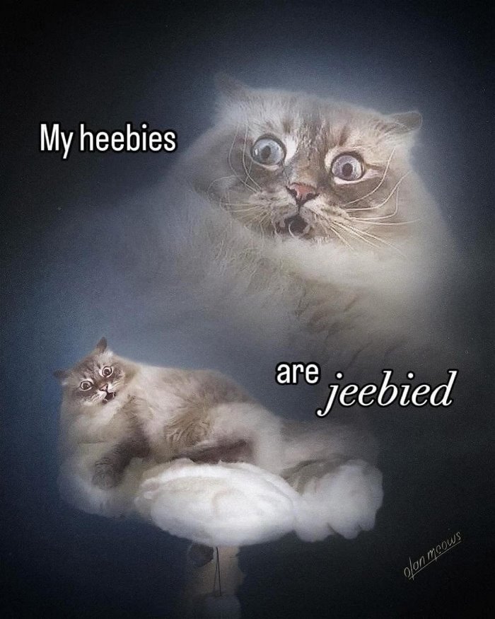 my heebies