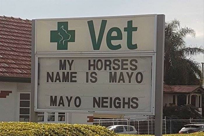 my horses name