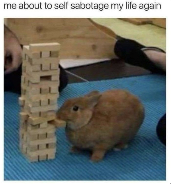 my life again